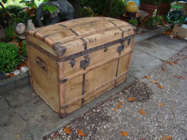 Old bulging trunk