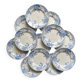 12 small flat plates "Campanule" Saint Amand and Hamage