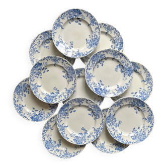 12 small flat plates "Campanule" Saint Amand and Hamage