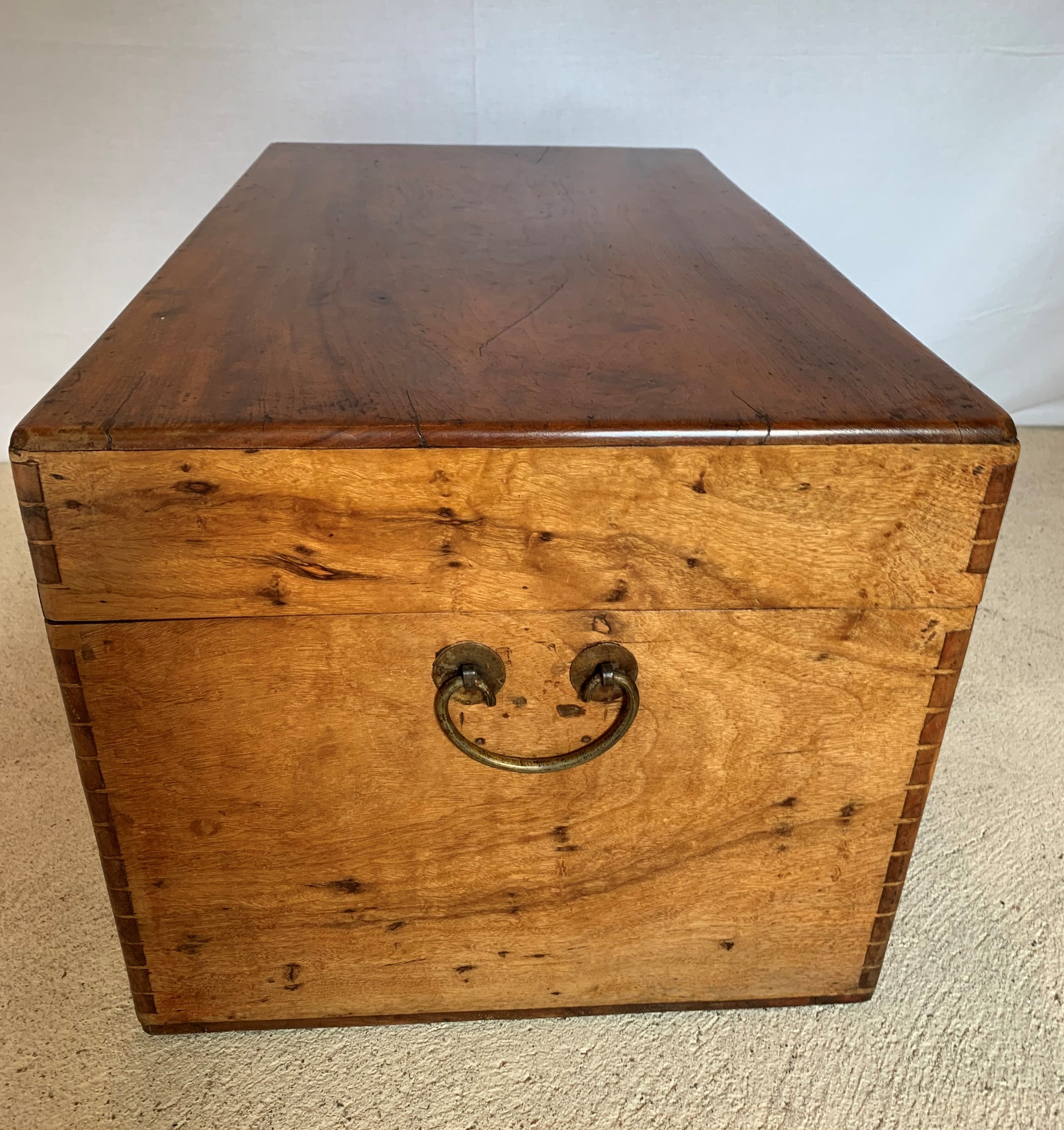 Chinese box in camphrier