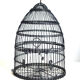 Cage à oiseaux