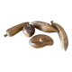 Lot of carved wooden fruits