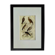 Original Ornithological Plate "Osprey - Fraxine - &c..." Buffon 1836