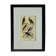 Original Ornithological Plate "Osprey - Fraxine - &c..." Buffon 1836