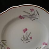 6 dessert plates in earthenware from SARREGUEMINES. DAMPIERRE model.