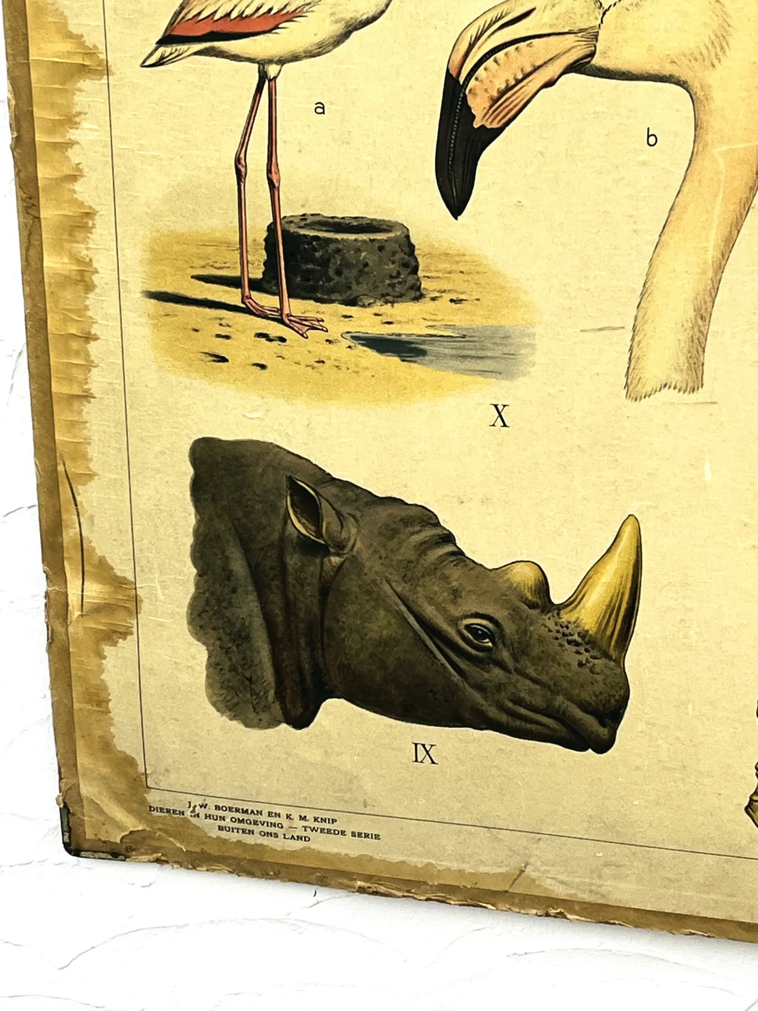 School poster J.B. Wolters