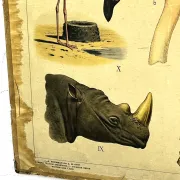 School poster J.B. Wolters