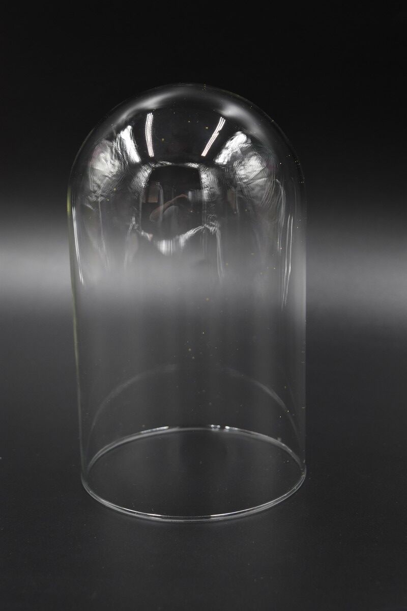 Glass bell globe for decoration cabinet of curiosity