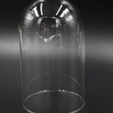 Glass bell globe for decoration cabinet of curiosity