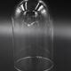 Glass bell globe for decoration cabinet of curiosity