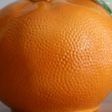 Orange-shaped pitcher