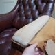 Fauteuil de bibliothèque en cuir usé avec boutons, années 1840