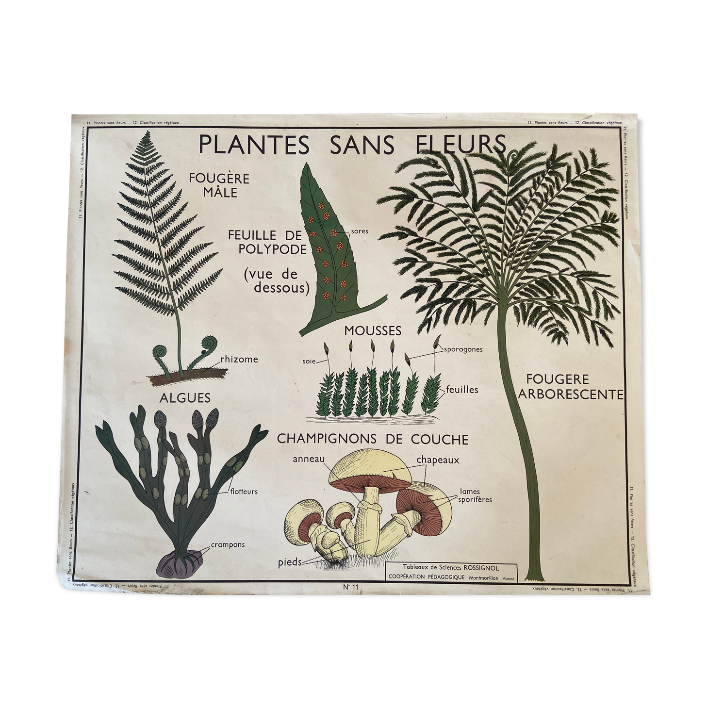 Old vintage school poster