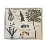 Affiche scolaire vintage