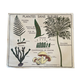 Affiche scolaire vintage