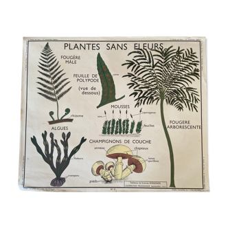 Affiche scolaire vintage