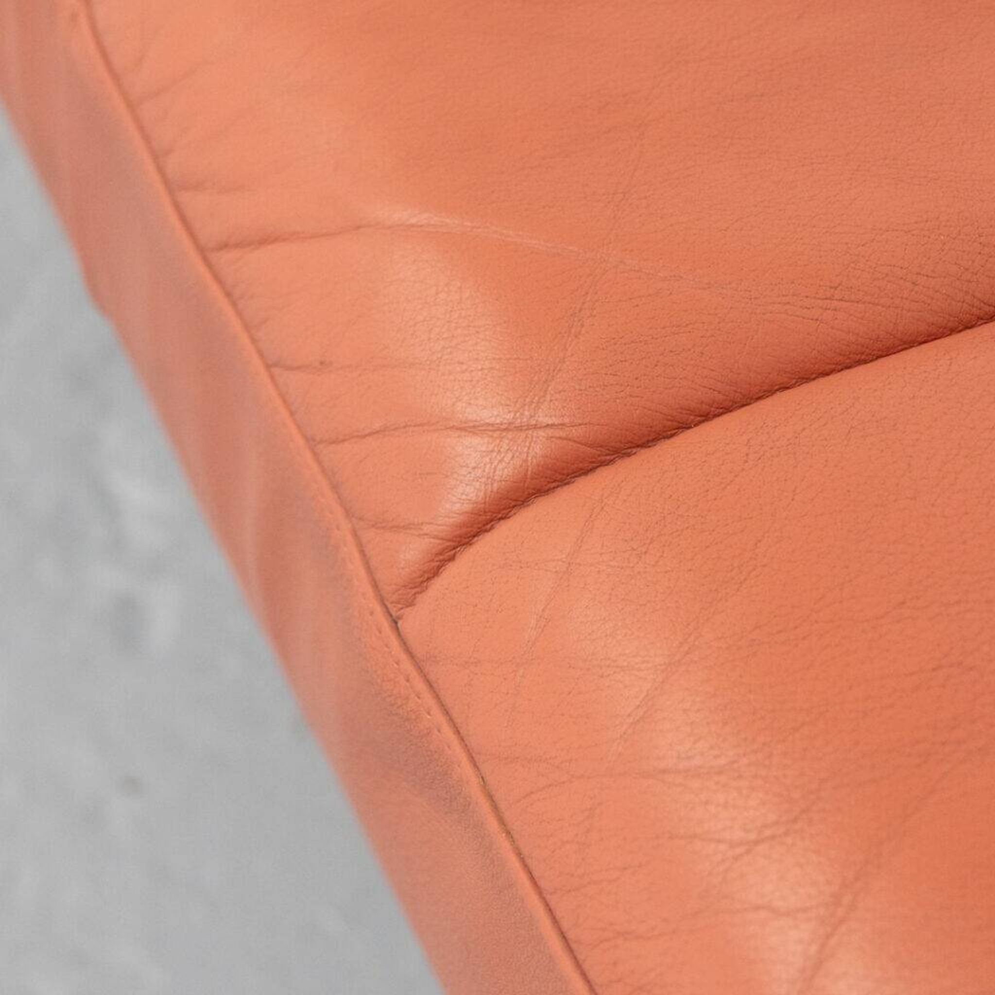 Hydra Sirius Sofa by Luca Scacchetti for Poltrona Frau