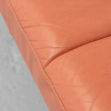 Hydra Sirius Sofa by Luca Scacchetti for Poltrona Frau