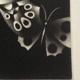 Mario avati (1921-2009), butterflies, black manner, 1970
