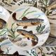 Lot de 6 assiettes plates poissons Gien Chambord années 50