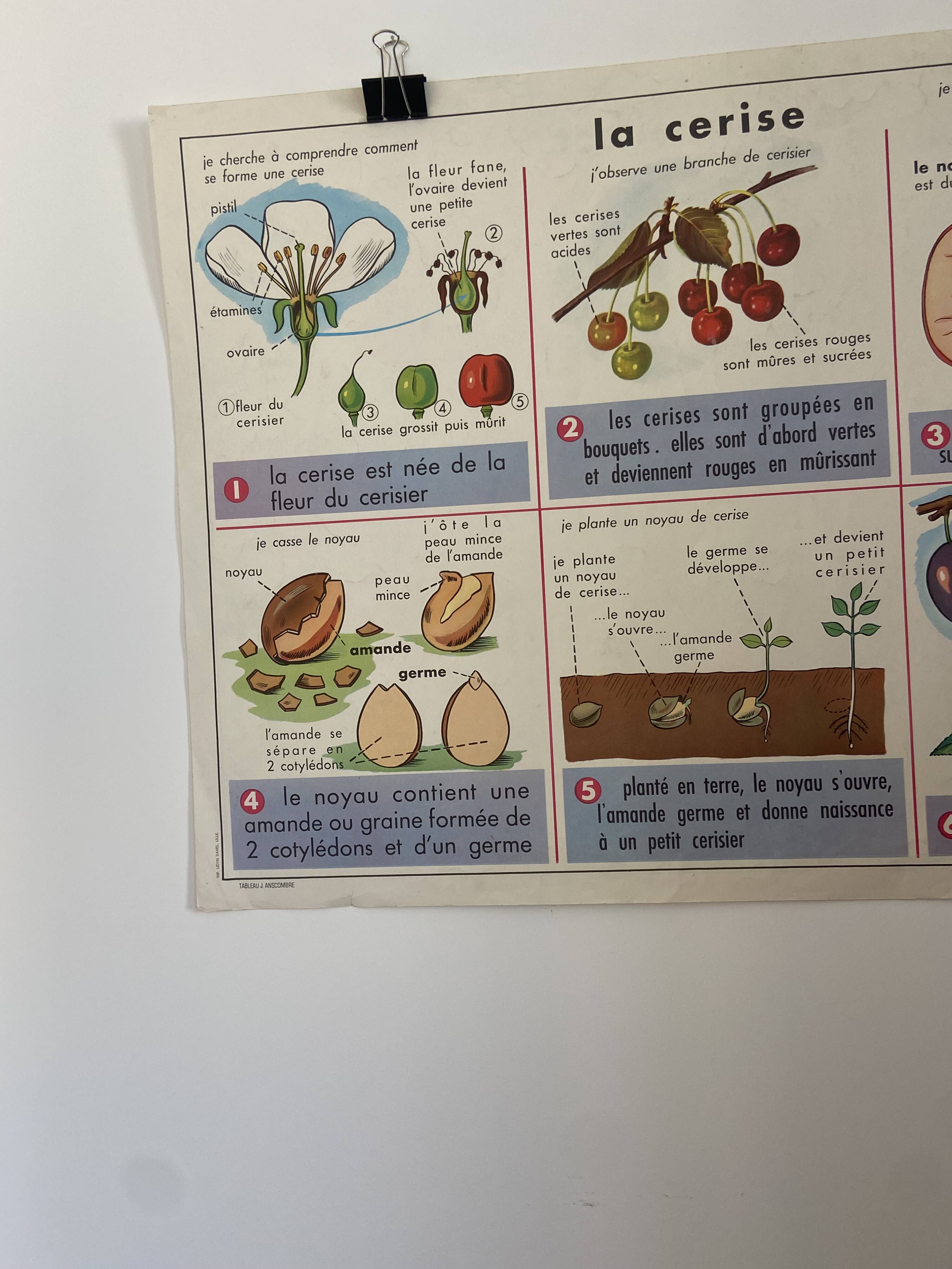 Affiche pédagogique vintage