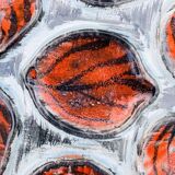 Mbfa pornic oyster plates, 1960