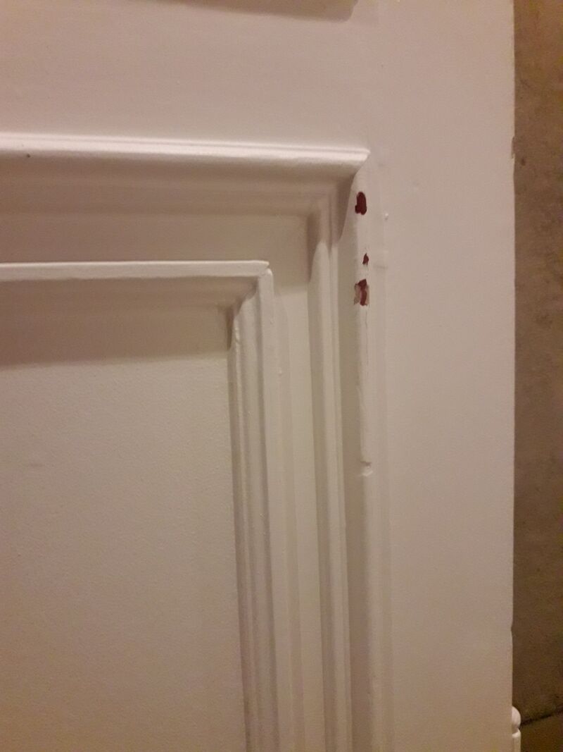 Communication door 69x243cm double-sided molded panel