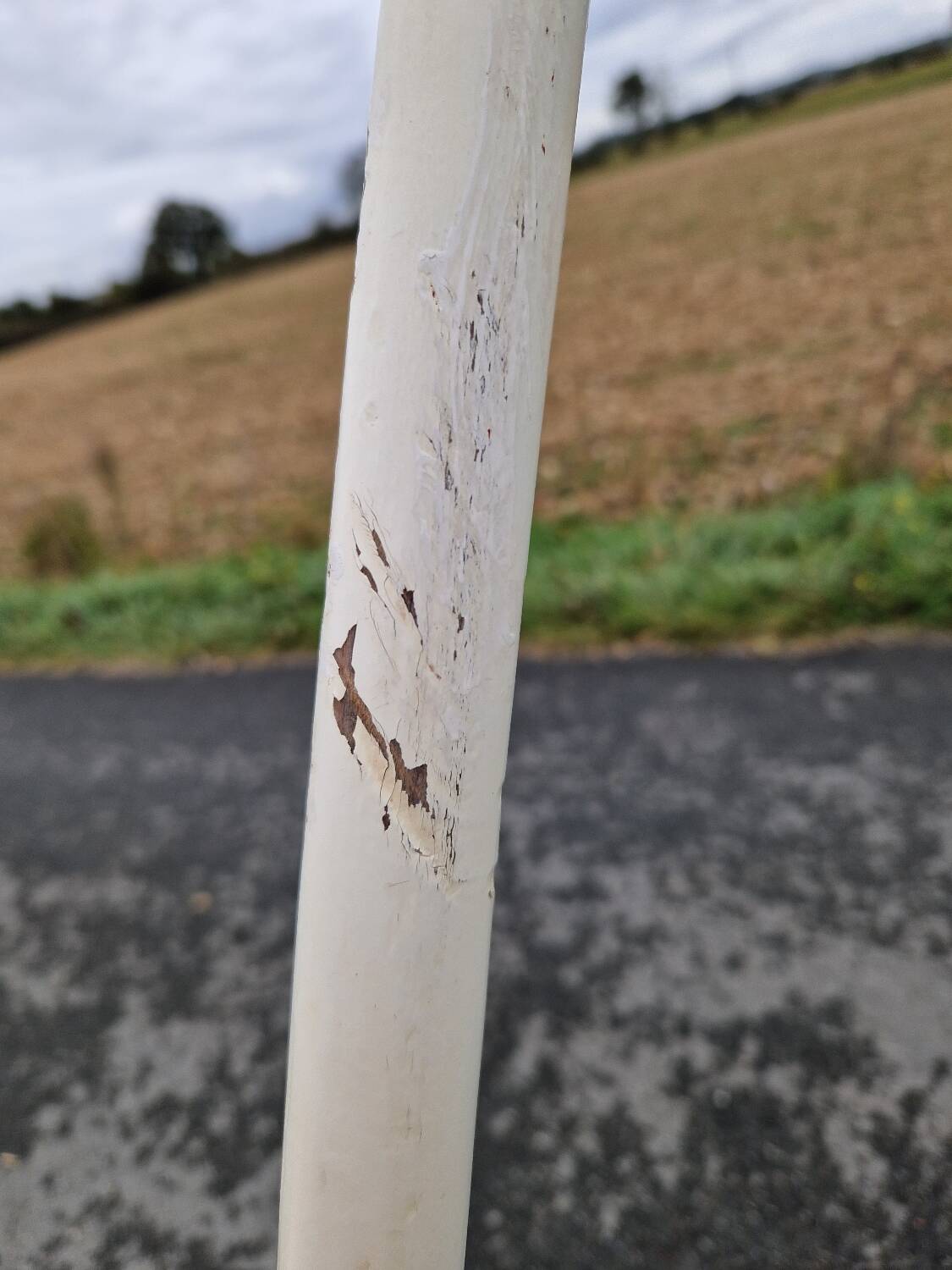Set of 3 vintage bistro chairs
