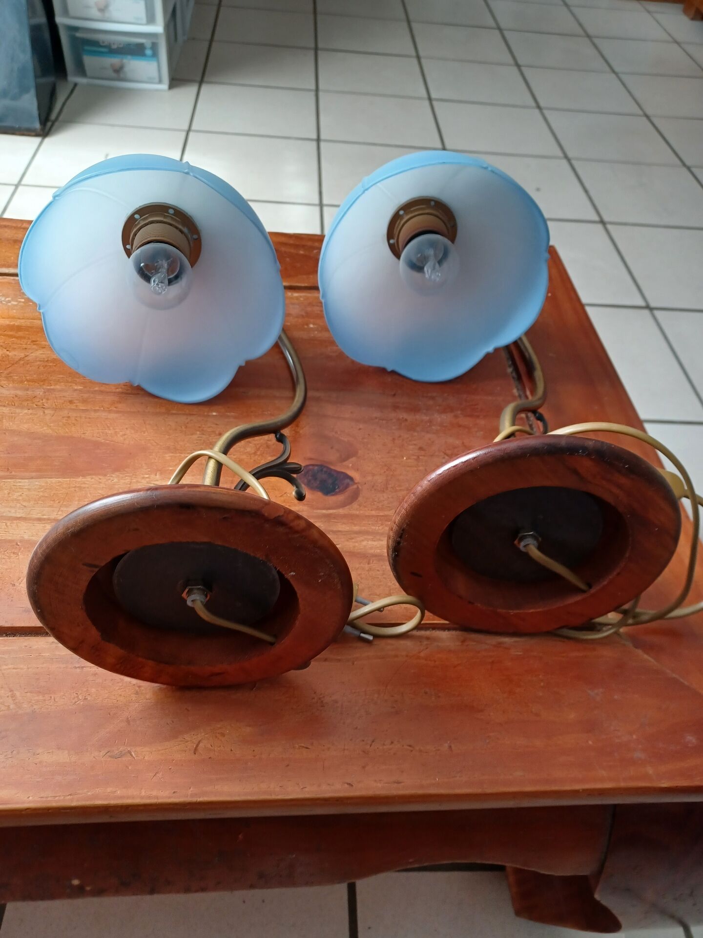 Set of 2 vintage goose neck lamps