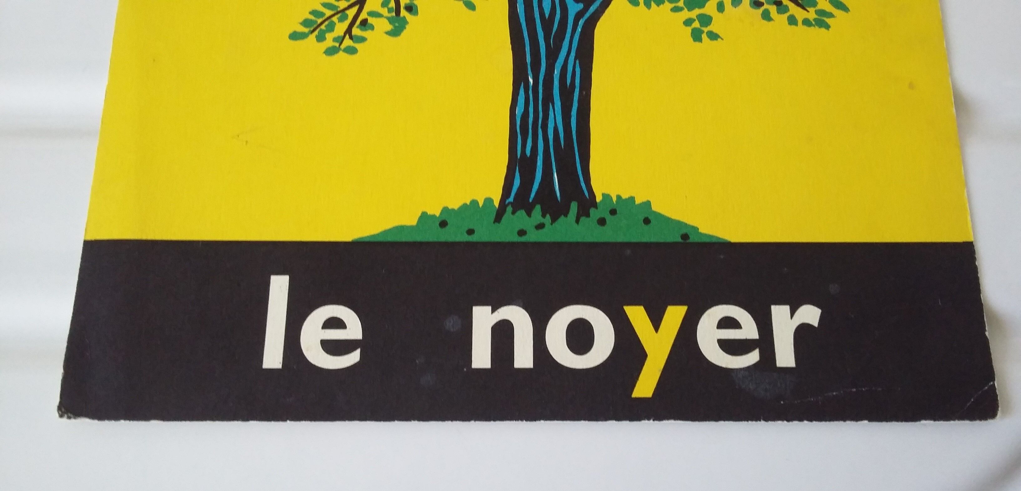 Reading image: the walnut tree