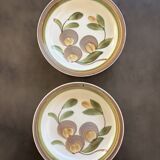 Two old deep plates gien