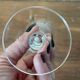 6 crystal engraved white wine glasses with stems