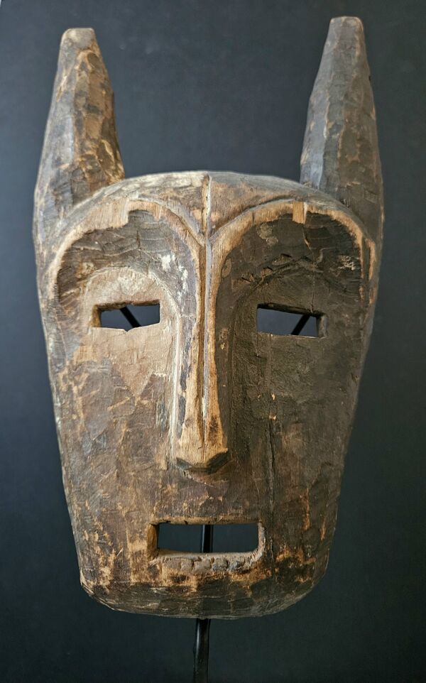 Masque LEGA Ancien surmonté de Cornes. Socoiété Bwami. Soclé    H : 44*18 cm    R. D. Congo