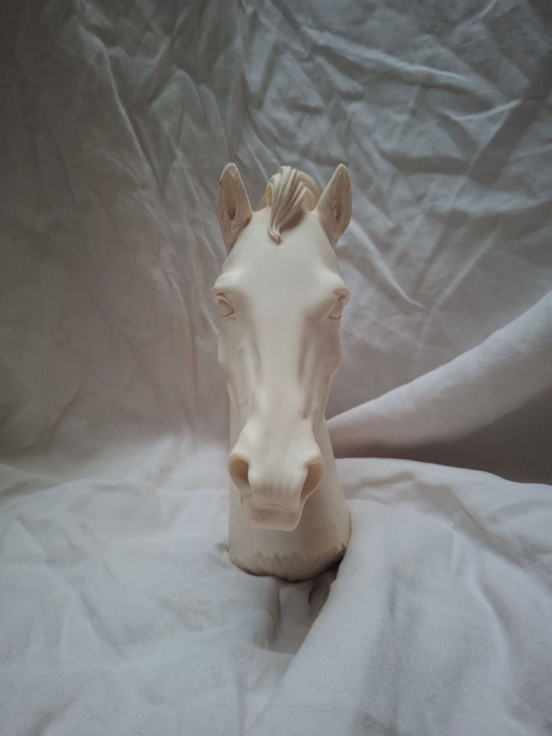 Horse head A. Giannelli