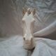 Horse head A. Giannelli