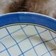 6 assiettes plates anciennes "Michel " de Gien