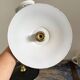 Set of two new electrified anthracite enamelled sheet wall lamps