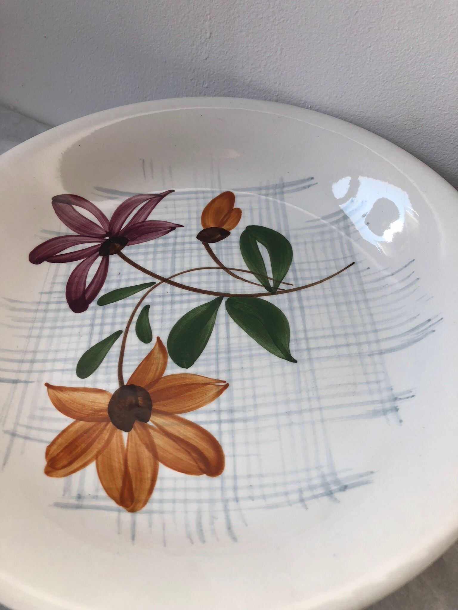 Set of 5 plates old Sarreguemines Digoin Daniel