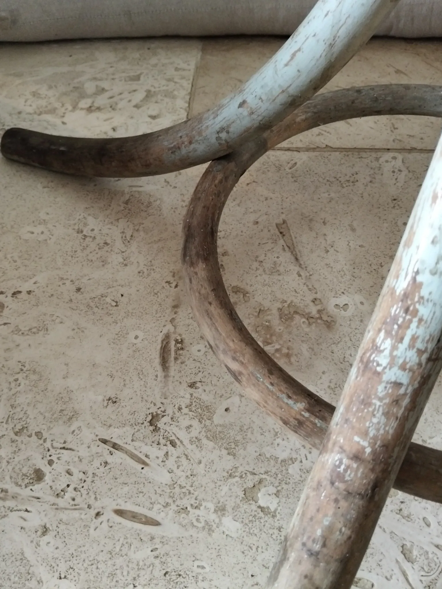 Porte manteau perroquet