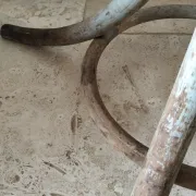Porte manteau perroquet