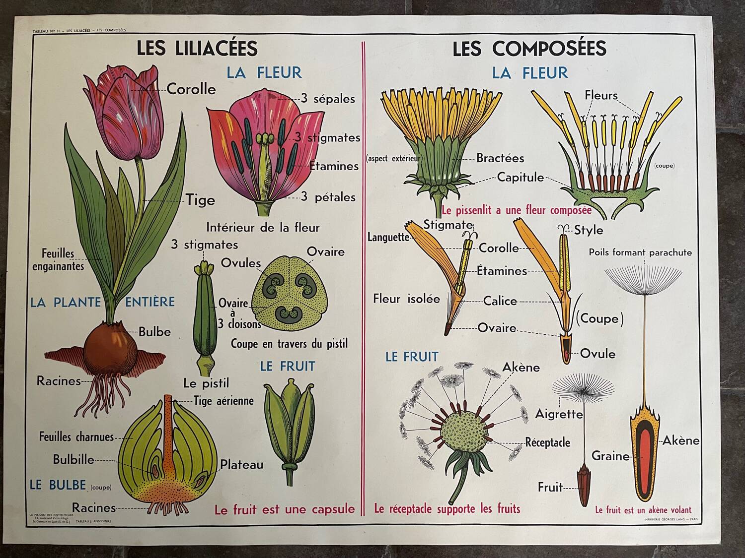 Ancienne affiche pédagogique scolaire école