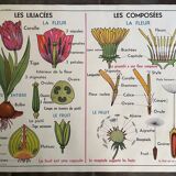 Old school educational poster