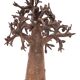 Bronze baobab