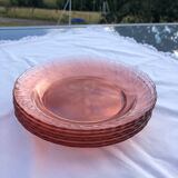 Lot 6 hollow plates Rosaline