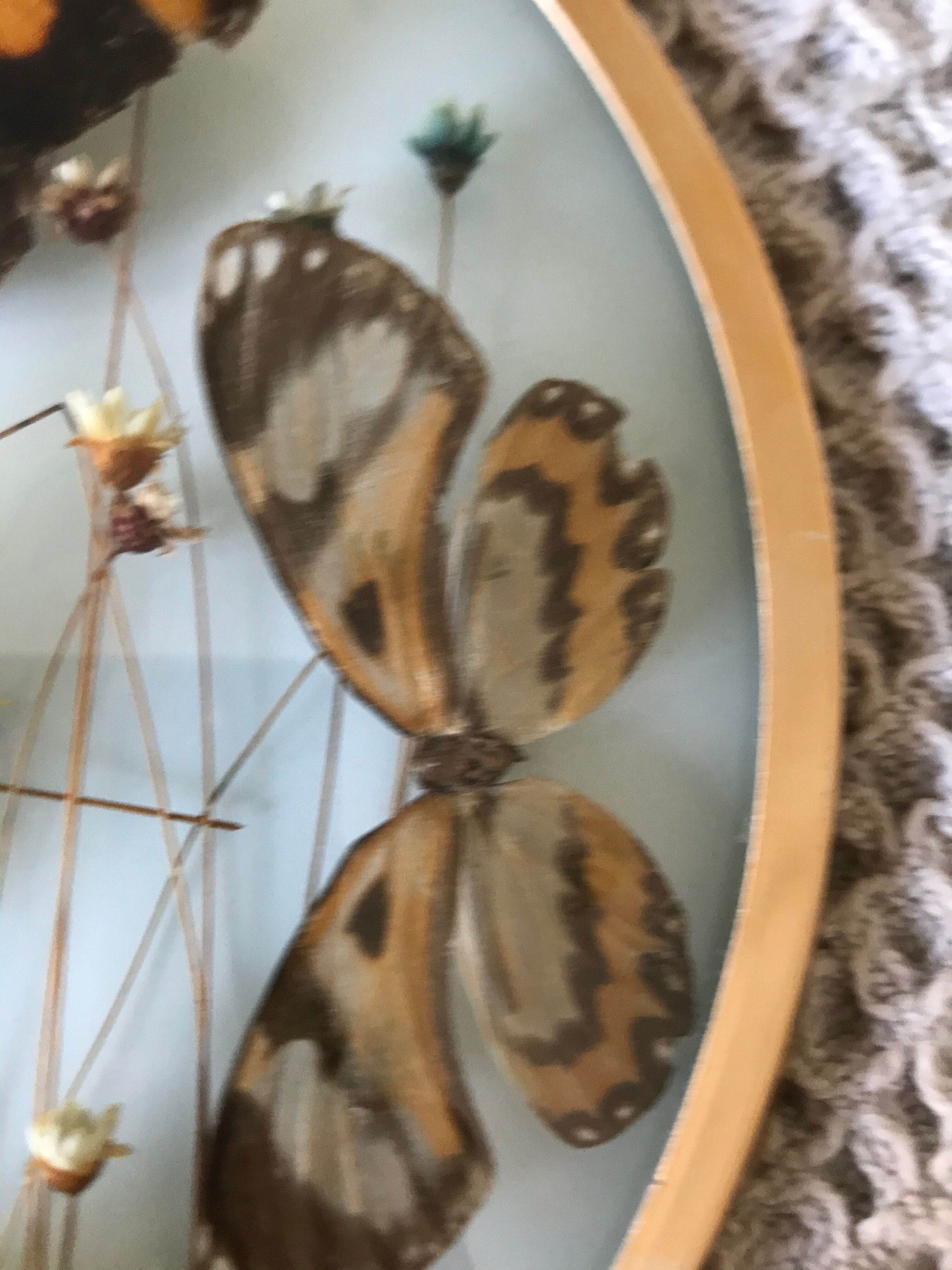 Vintage butterfly frame