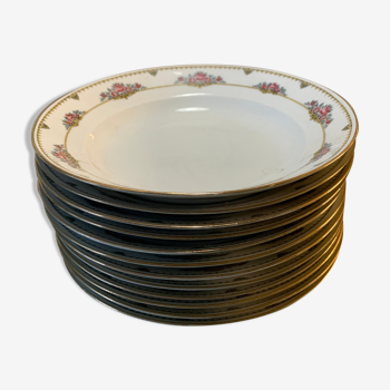 Hollow plates limoges porcelain