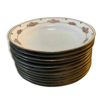 Hollow plates limoges porcelain