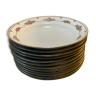 Hollow plates limoges porcelain
