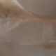 Alabaster sculpture by Pugi.Guglielmo