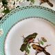 Set of 10 vintage flat plates with bird drawings